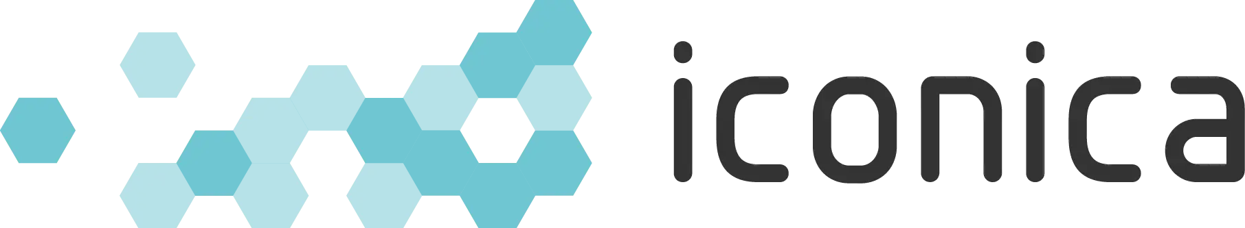 Iconica - Software ontwikkeling