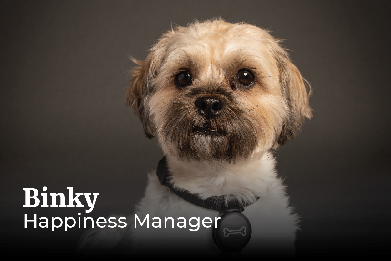 Iconicaan - Binky (Hond, happiness manager)